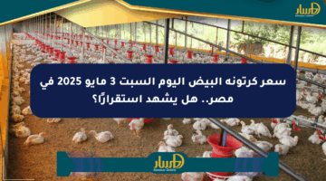 سعر كرتونة البيض اليوم السبت 3 مايو 2025 في مصر.. هل يشهد استقرارًا؟